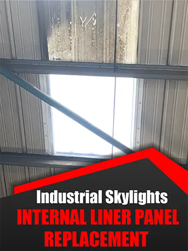 Skylight Repairs Sale